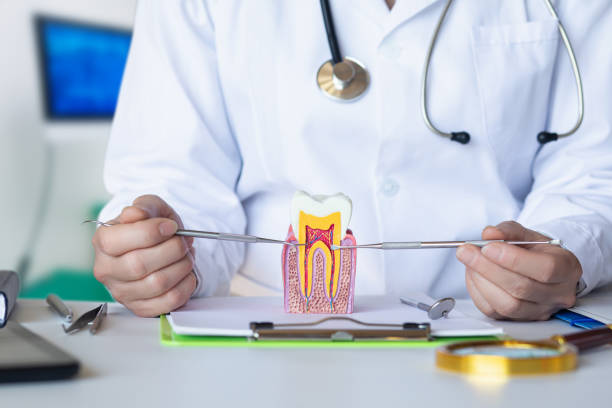 Best Emergency Dental Care for Abscessed Tooth in Springdale, NC